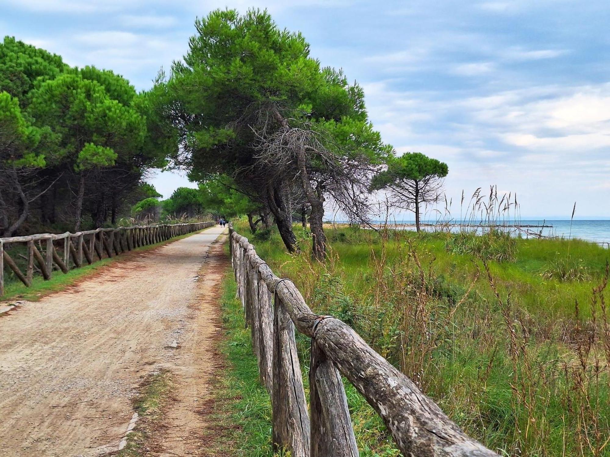 Wonderful 300 Meters From The * Bibione